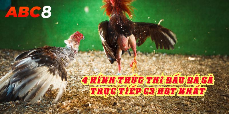 4 hình thức thi đấu đá gà trực tiếp C3 hot nhất