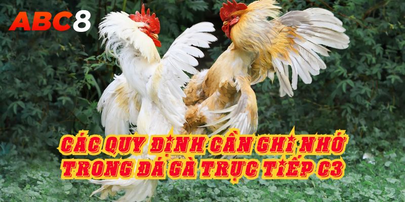 Các quy định cần ghi nhớ trong đá gà trực tiếp C3