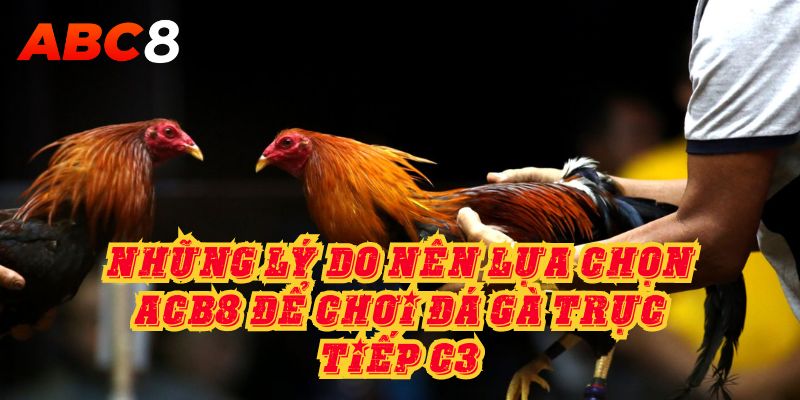 Những lý do nên lựa chọn ACB8 để chơi đá gà trực tiếp C3